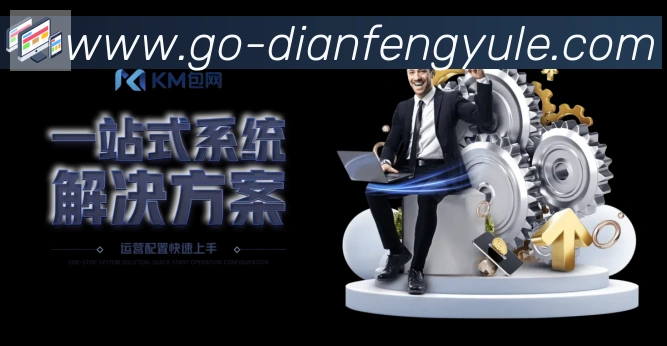 未来规划